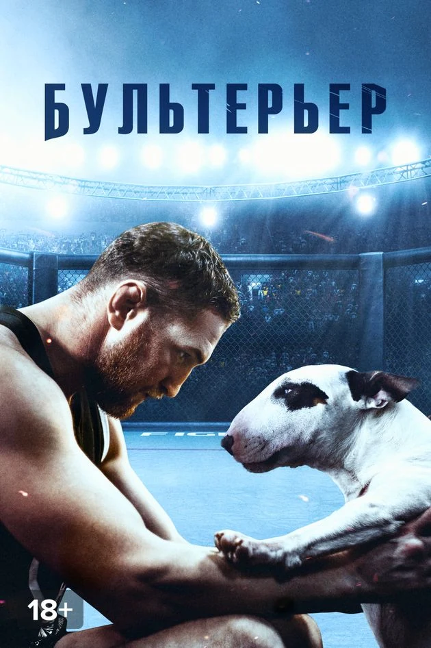 Постер Бультерьер